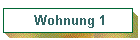 Wohnung 1